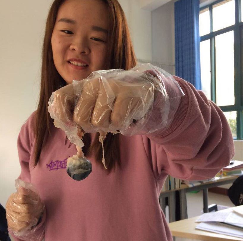Biology student dissecting a sheep's eyeball