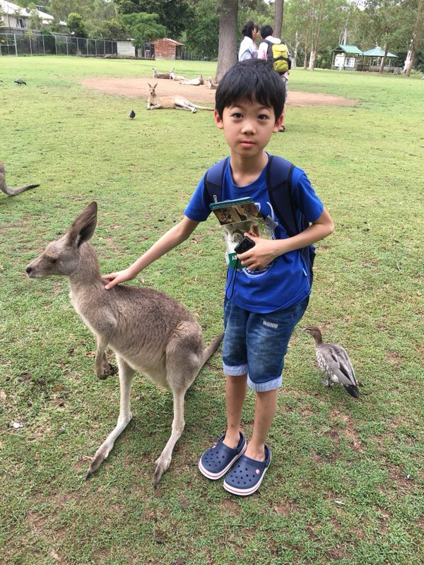 International Middle School Student with Kangaroo